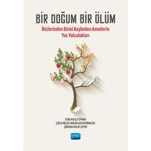 İkizlerinden Birini Kaybeden Annelerin Yas Yolculukları Nobel Akademik Yayıncılık