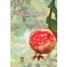 In Suları- Türkan Söğüt Gezer