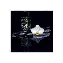 INFINITE LOVE Erkek Parfüm Edp Hugo Boss Hugo-hugo / Hugo Boos-aromatik 50 Ml. E13