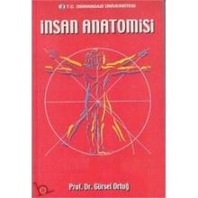 İnsan Anatomisi - Mehmet Yıldırım
