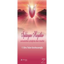 Işıldayan Hayatlar - F. Ebru Tolan Karahasanoğlu