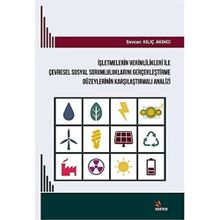 İşletmelerin Verimlilikleri ile Çevresel Sosyal Sorumluluklarını Gerçekleştirme Düzeylerinin Karşılaştırmalı Analizi - Sevcan Kılıç Akıncı