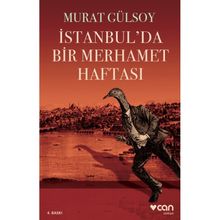 İstanbul’da Bir Merhamet Haftası - Murat Gülsoy