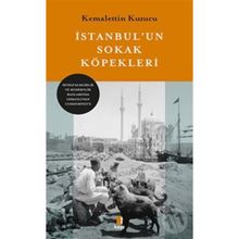 İstanbul'un Sokak Köpekleri - Kemalettin Kuzucu