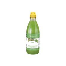 Iv San Bernard Mint Shampoo Canlandırıcı ve Onarıcı Naneli 500 ml Kedi Köpek Şampuanı