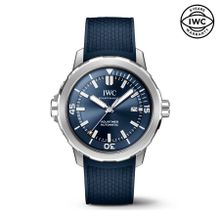 IWC IW328801 Erkek Kol Saati