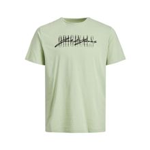 Jack & Jones 12205668 Yeşil Erkek T-shirt