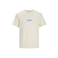 Jack & Jones 12255557 Erkek T-shirt