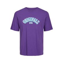 Jack & Jones Joreuphori Tee Ss Crew Neck Tg Derin Lavanta Erkek T-shirt