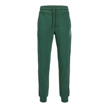 Jack & Jones Jpstgordon Jjswift Sweat Pants Dark Green Erkek Pantolon