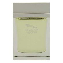 Jaguar Vision 2 EDT 100 ml Erkek Parfümü