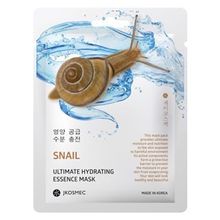 JKosmec Snail 1 Adet Kağıt Maske