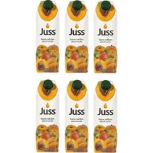 Juss 1 lt Kayısı Meyveli İçecek