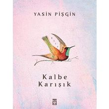 Kalbe Karışık - Yasin Pişgin