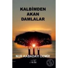 Kalbimden Akan Damlalar - Nur Kabadayı Demir