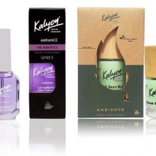 Kalyon Oje Kurutucu Sprey + Kalyon 11 ml Bitkisel Tırnak Gece Maskesi