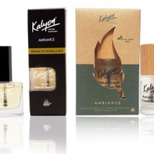 Kalyon Tırnak Eti Temizleyici + Kalyon 11 ml Bitkisel Kuruluk Önleyici Tırnak Bakım Yağı Kenevir Tohumu Yağı
