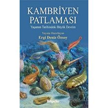 Kambriyen Patlaması - Ergi Deniz Özsoy