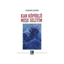 Kan Köpüklü Meşe Seliyim - Osman Şahin