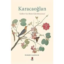 Karacaoğlan - Gülleri Var Bizim Güle Benzemez