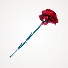 KARANFIL - FERMAN KARAÇAM