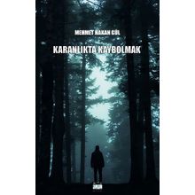 Karanlıkta Kaybolmak - Mehmet Hakan Gül