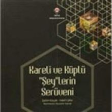 Kareli ve Küplü "Şey"lerin Serüveni - Şahin Koçak