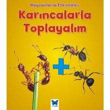 Karıncalarla Toplayalım - Tracey Steffora