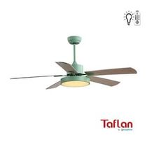 Kaşkar F52302 Yeşil Tavan Vantilatör