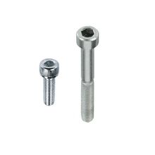Katar 8.8 Beyaz 5'li Paket M12x25 Din912 İmbus Civata
