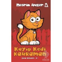 Kayıp Kedi Kahraman - Linda Newbery