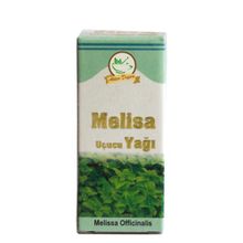 Kayısı İste 20 ml Melisa Yağı
