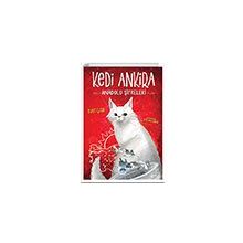 Kedi Ankira Anadolu Şifreleri Martı Çocuk Yayınları