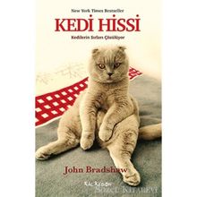 Kedi Hissi - John Bradshaw