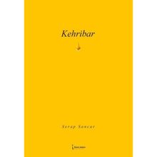 Kehribar İkinci Adam Yayınları
