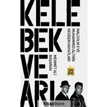 Kelebek ve Arı - Mehmet Ali Başaran