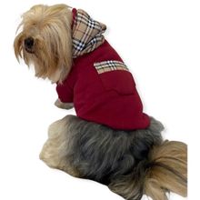 Kemique BB Limited Bordo Kapşonlu Köpek Sweatshirt