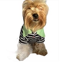 Kemique Grass Hopper Stripe Polo Yaka Tişört Köpek Elbisesi