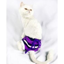 Kemique Modern Purp Mor Kedi Külot