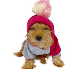 Kemique Pink Amigo Kapşonlu Sweatshirt XL Gri Köpek Elbisesi