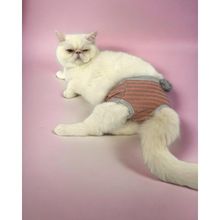 Kemique Renkli Pink Shine Secret Kedi Iç Çamaşırı Regl Külodu
