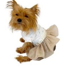 Kemique Sun Cream Tütülü Tutu L Köpek Elbisesi