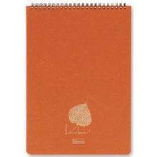 Keskin Color 146431-99 A4 80 Yp Linden Ofis Çizgili Bloknot