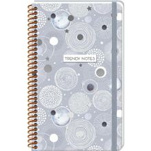 Keskin Color 410233-99 Sert Kapak Spiralli Beads Silver 13x21 cm 80 Yaprak Çizgili Not Defteri