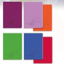 Keskin Color Basic A5 Plastik Kapak 100 Yaprak Kareli Defter