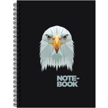 Keskin Color Jungle Spiralli Kartal 100 Yaprak Çizgili Sert Kapak 17 x 24 cm Defter