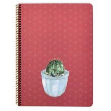 Keskin Color Saguaro Spiralli Kaktüs Sert Kapak 100 Yaprak 20x28 Kareli Defter