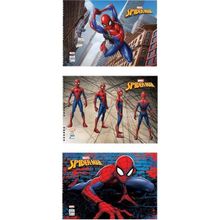 Keskin Color Spider 15 Yaprak Resim Defteri 25 x 35 cm 3'lü Resim Defteri
