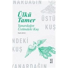 Ketebe Yayınları Yanardağın Üstündeki Kuş
