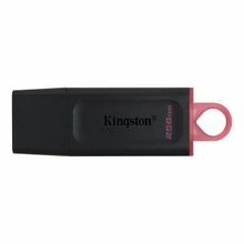 Kingston 256 gb USB 3.2 Datatrvex Dtx 256 gb Usb Bellek